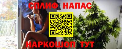 тгк Тара