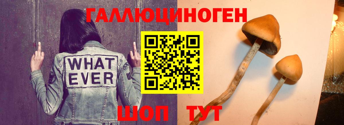 купить наркоту  Вход с VPN  Можайск  Галлюциногенные грибы Magic Shrooms 